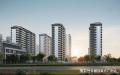 让您用专业目光去